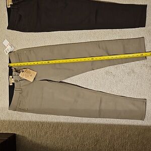 Democracy stretch cropped